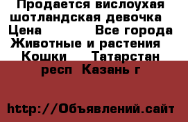 Продается вислоухая шотландская девочка › Цена ­ 8 500 - Все города Животные и растения » Кошки   . Татарстан респ.,Казань г.